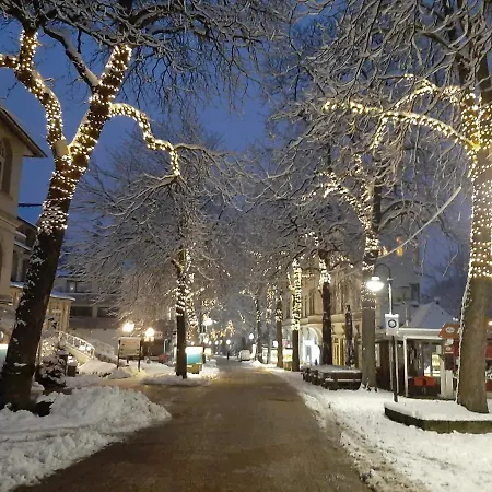 Harzmonie Appartement Bad Harzburg