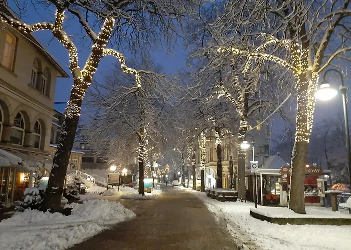 Harzmonie Appartement Bad Harzburg